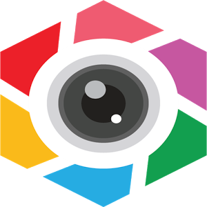 PIP Camera